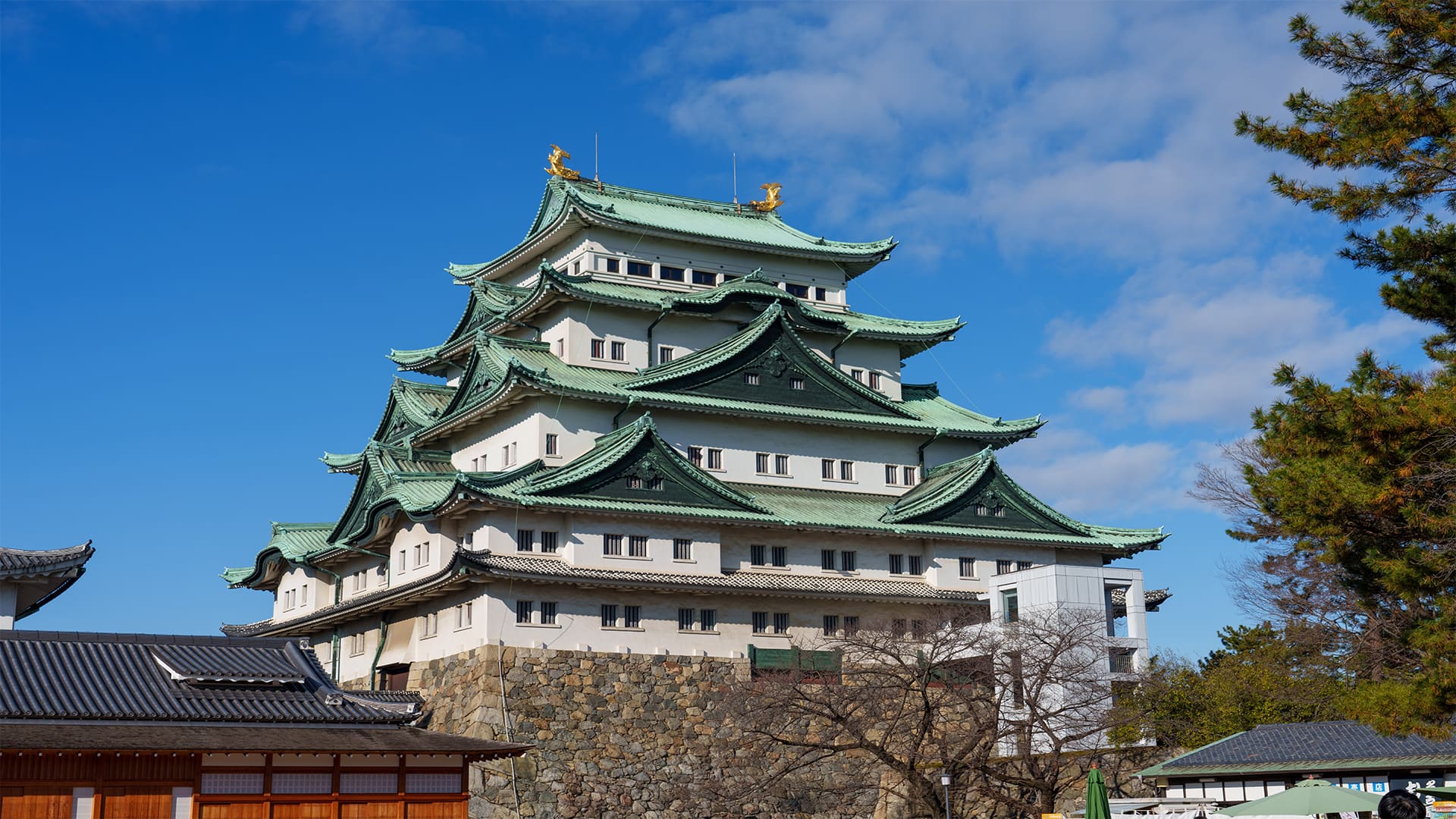 Nagoya Castle & Osu Kannon Temple 